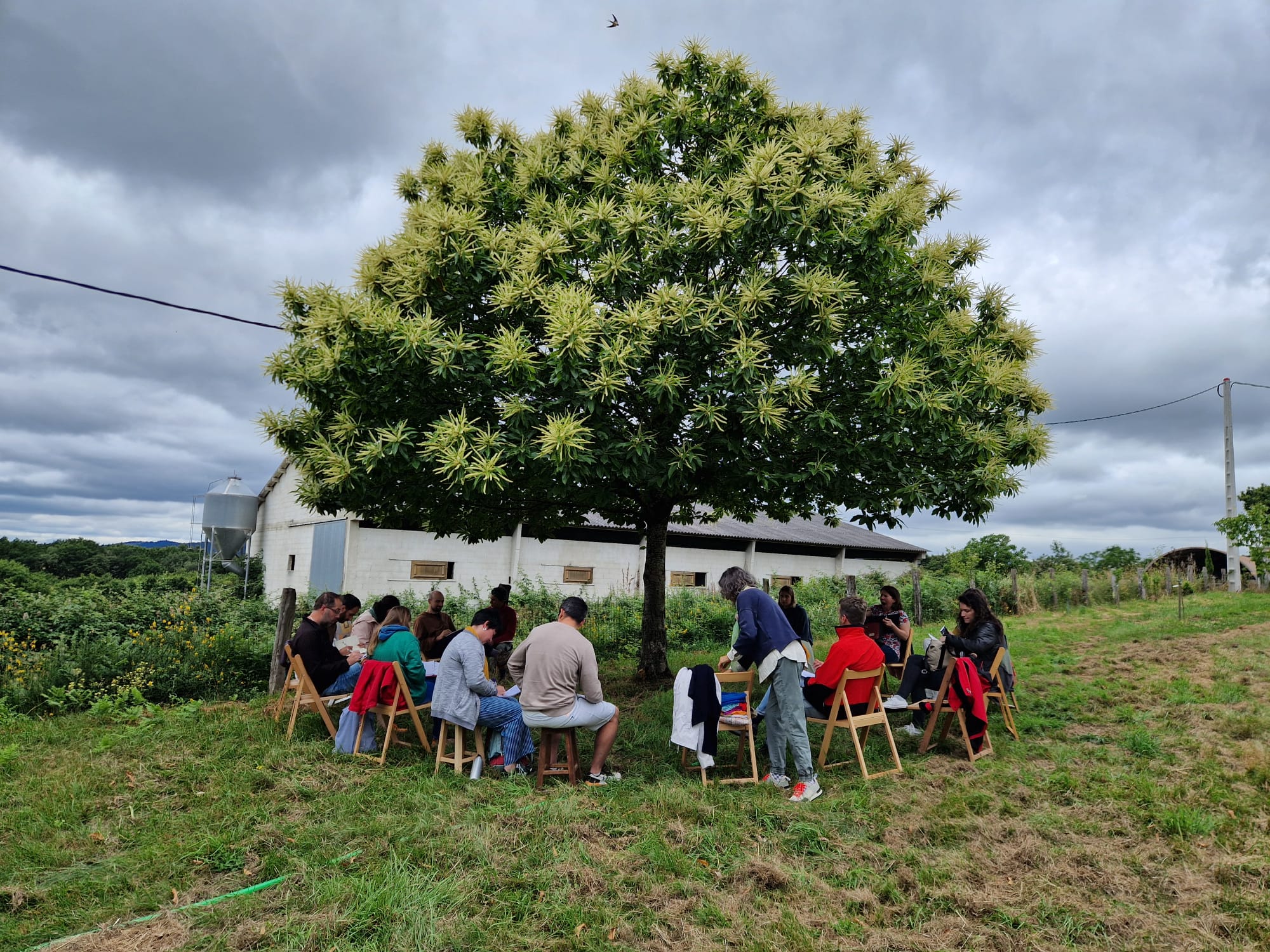 Circulo de crianza: ¡Mira mamá!