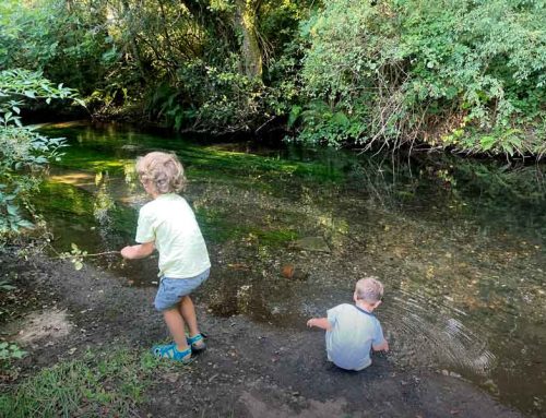 ¿Qué necesita mi hijo/a de mí? Ponencia gratuita en Valencia