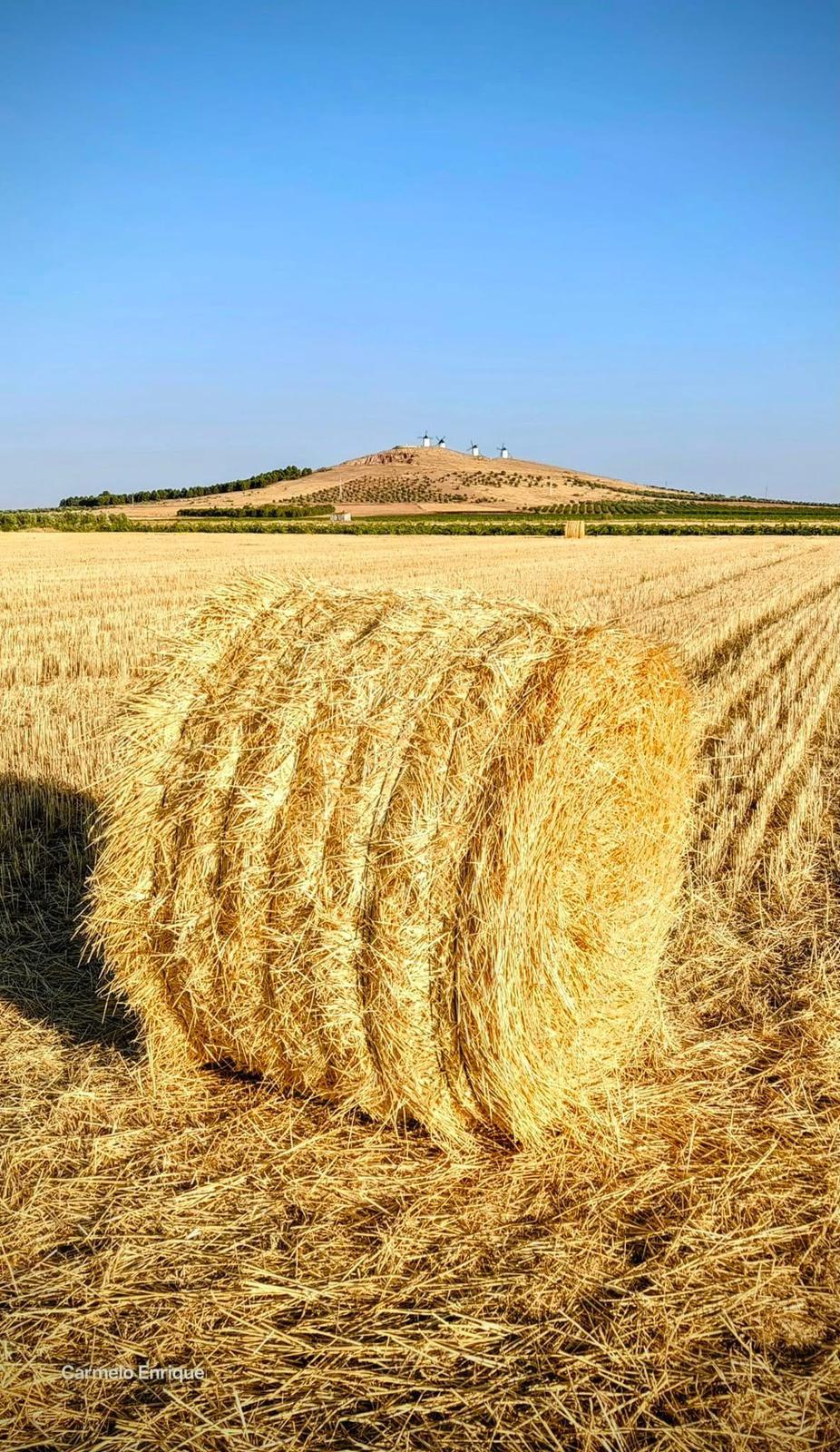 Verano en Alcazar de San Juan